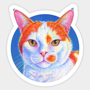 Orange and White Cat on Blue Sticker